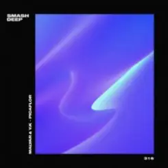 Обложка MalYar & Y_K - Picaflo