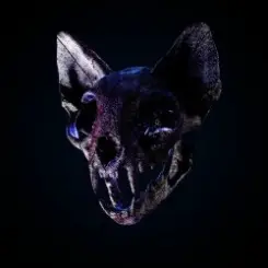 Darci - Wild Horse слушать онлайн