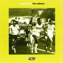 Propellerheads - Take California слушать онлайн