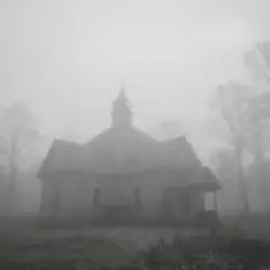 Обложка Owl Stone - Густі тумани