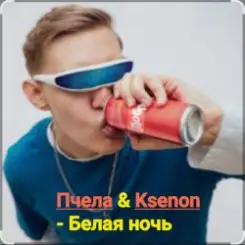 Обложка Пчела & Ksenon - Белая ночь