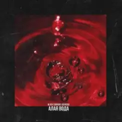 Обложка Blvck Cvrnvge - Requiem