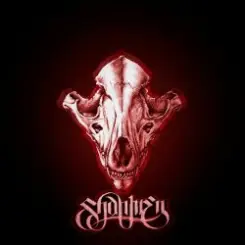 Обложка Shahmen - Mark