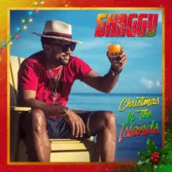 Обложка SHAGGY feat. Jamila Falak - Christmas time