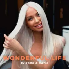 Обложка Dj Dark & Katie - Wonderful Life