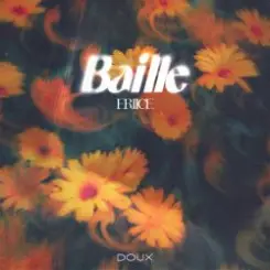 Обложка ERIICE - Baille