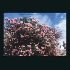 Ceres - Happy In Your Head слушать онлайн