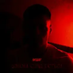 Обложка Ikigai - Допоки серце бʼється