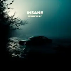 Обложка Butch U - Insane