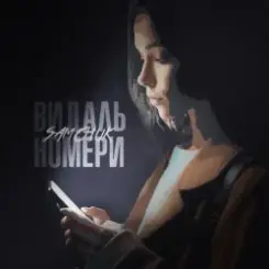 Обложка SAMCHUK - ВИДАЛЬ НОМЕРИ