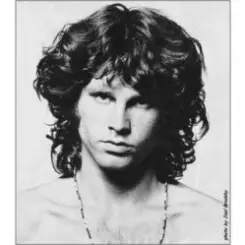 The Doors - Wild Child слушать онлайн
