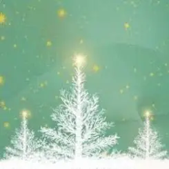 Обложка Sting Dolbry - White Christmas