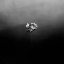 Обложка Little Simz - Young