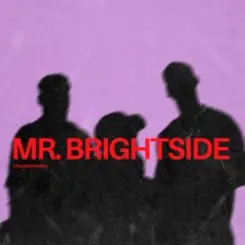 Обложка ItaloBrothers - Mr. Brightside