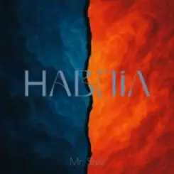 Обложка Mr. Safe - Навпіл