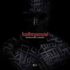 Обложка HEDEGAARD & Sanjin - badboysound