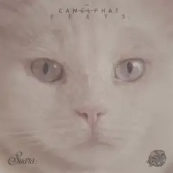 CamelPhat - (Original Mix) слушать онлайн