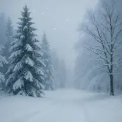 Обложка Dj David Braun - Це все зима (feat. Anna Helmut)