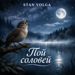 Обложка Stan Volga - Пой соловей