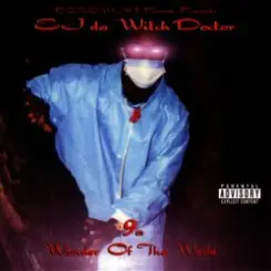 Обложка Witchdoctor - 9th Wonder Of Tha World