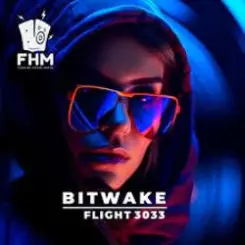 Обложка Bitwake - Flight 3033