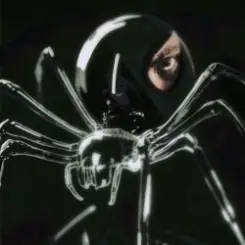 Обложка Dubinin - Чёрная вдова