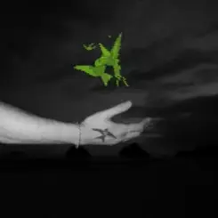 Обложка BSEARL & Limmz - DECISION