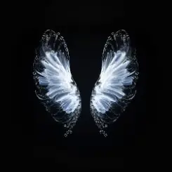 Обложка Whales - Believe