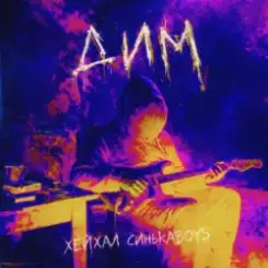 Обложка Хейхал & Синькаboys - Дим (Rock version)