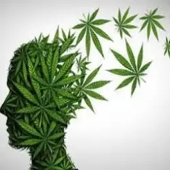 Crazy FM - On Line слушать онлайн