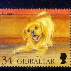 Вячеслав Бутусов - Гибралтар-лабрадор слушать онлайн