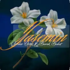 Burak Bulut & Serdar Ortaç - Yasemin слушать онлайн