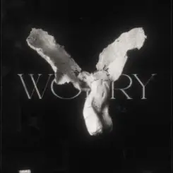 Обложка LONOWN & riserayss - starly & jessie (Mashup)