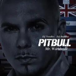 Pitbull - Not An Alcoholic слушать онлайн