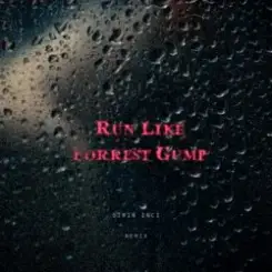 DA TI - RUN LIKE FORREST GUMP (SIRIN INCI REMIX) слушать онлайн