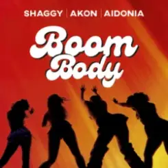 Shaggy & Akon & Aidonia - Boom Body слушать онлайн
