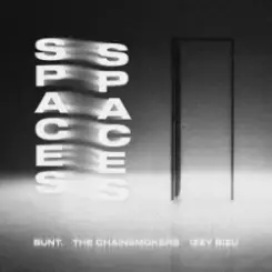 BUNT. & The Chainsmokers & Izzy Bizu - Spaces слушать онлайн