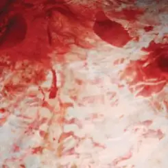 Обложка Salem - Better Off Alone