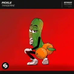 Обложка Pickle - Journey