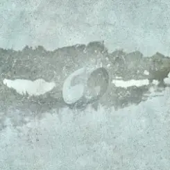 ssshhhiiittt! - Сухоцвет слушать онлайн