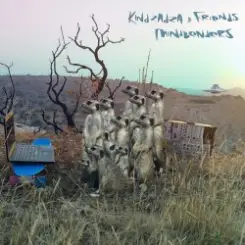 Обложка Kindzadza - Beta Galaxy