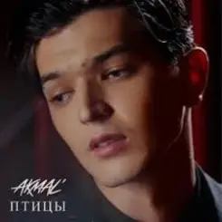 Обложка Akmal' - Птицы
