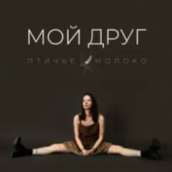 Обложка Птичье Молоко - Мой друг