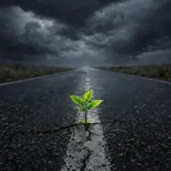 Обложка Matvik - Рухатись далі