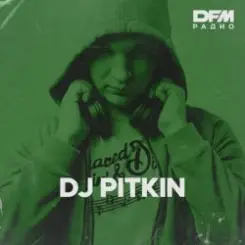 Обложка Dj Pitkin - RАЙ