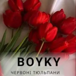Обложка Бойки - Червоні тюльпани