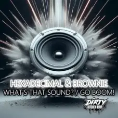 Обложка Hexadecimal & DJ Brownie - What's That Sound