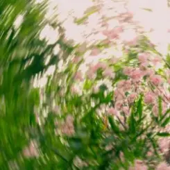 Shallou - Safe In Your Love слушать онлайн