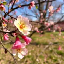 Сергей Видов - Весна слушать онлайн