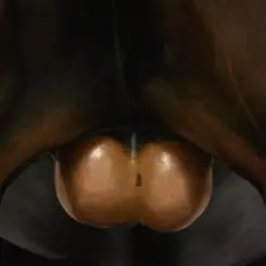 Обложка Кровосток - Бабочки